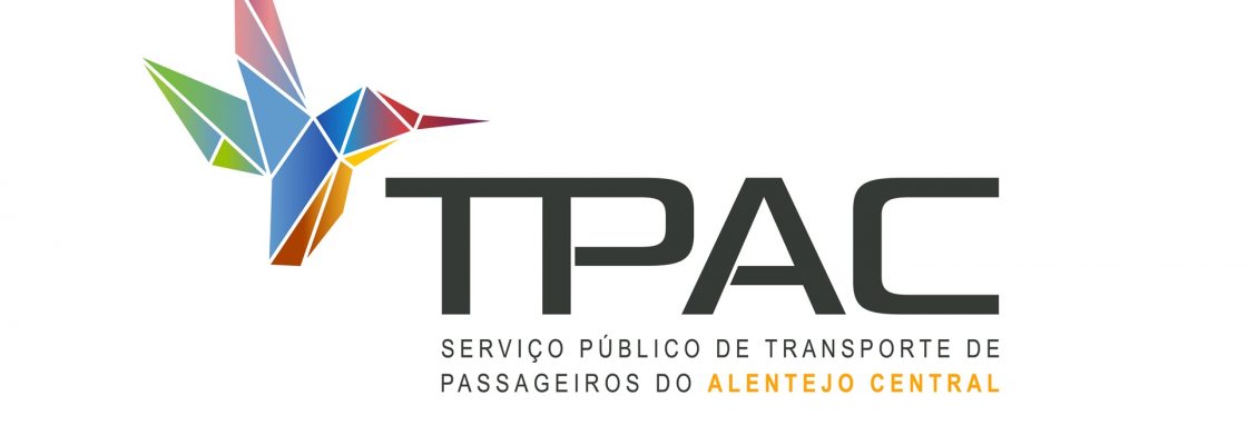 Perturbações nos serviços de transporte público devido a corte no acesso à EN255 pela Zona I...