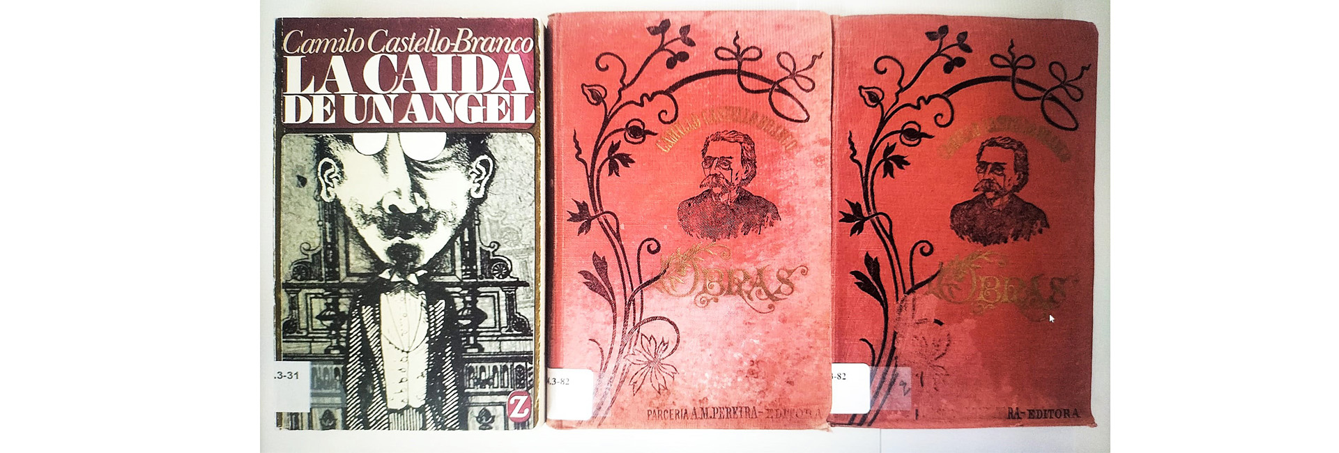 DiadoLivroPortugus_1770821562